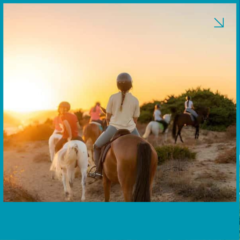Horse Riding